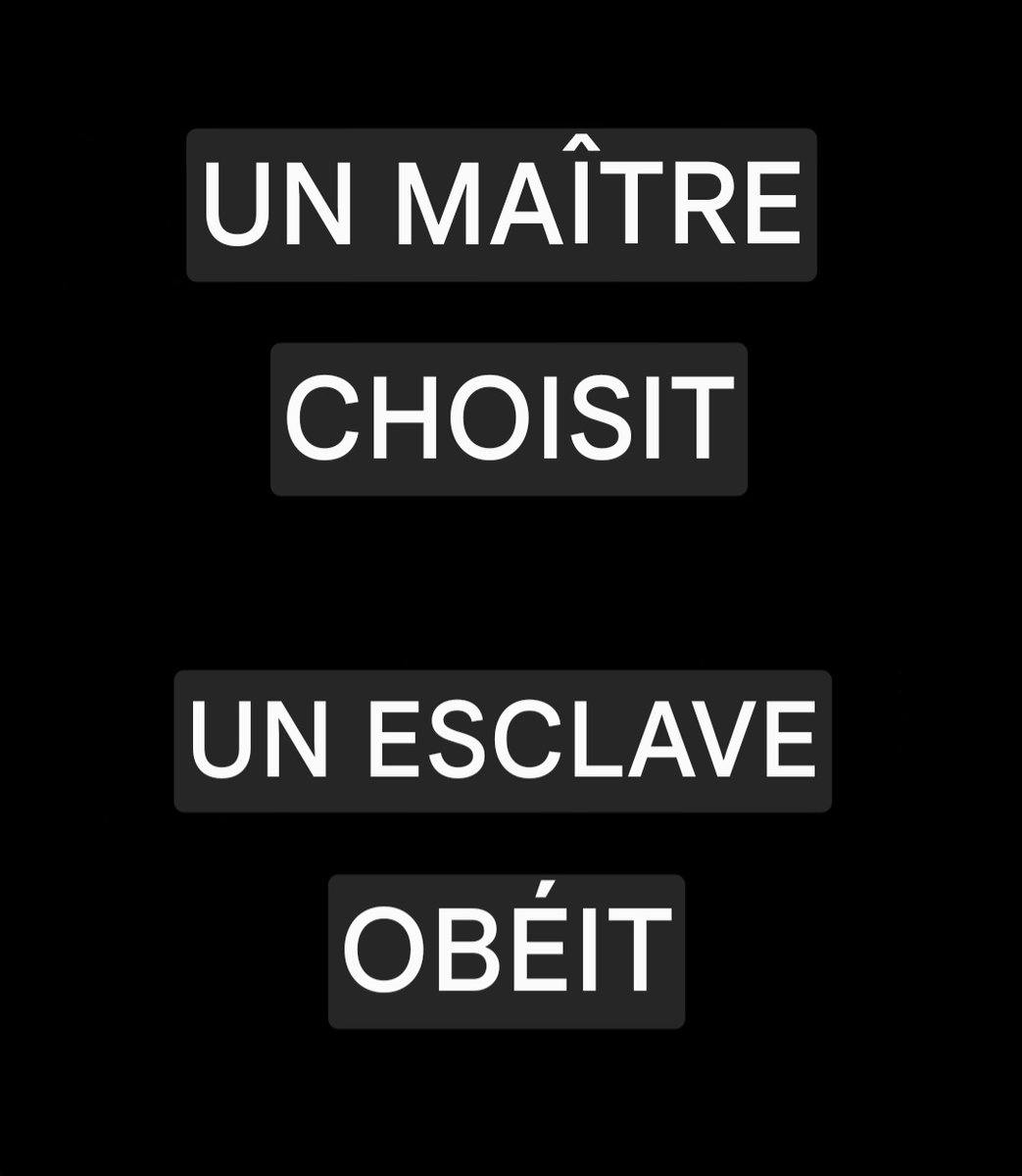 Charognard Afrique tweet media