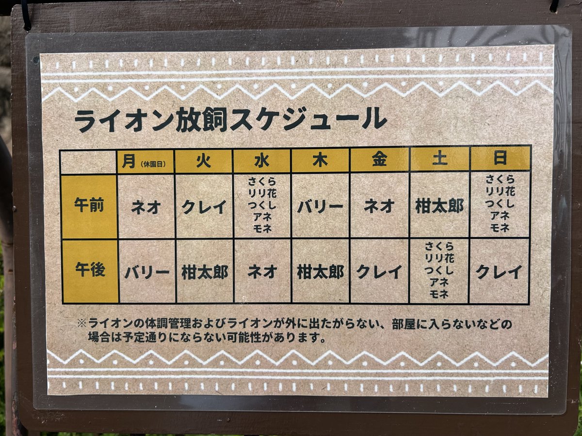 しろねこ tweet media