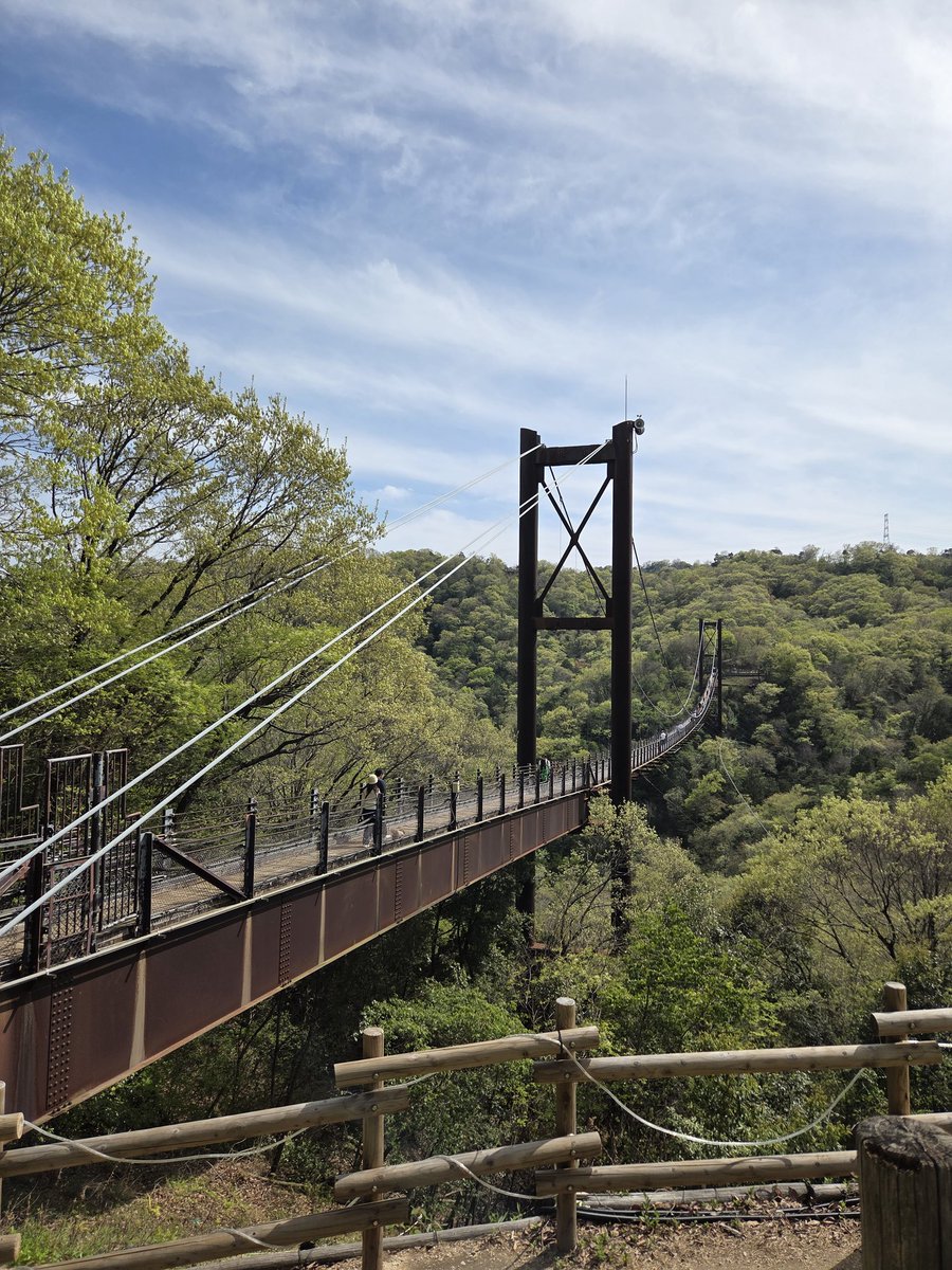 juki🦖6m tweet media