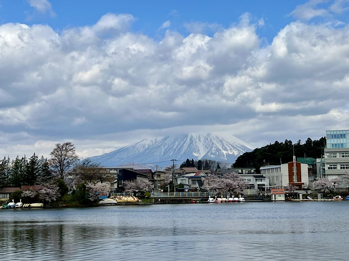 yuuki（ゆうき） tweet media