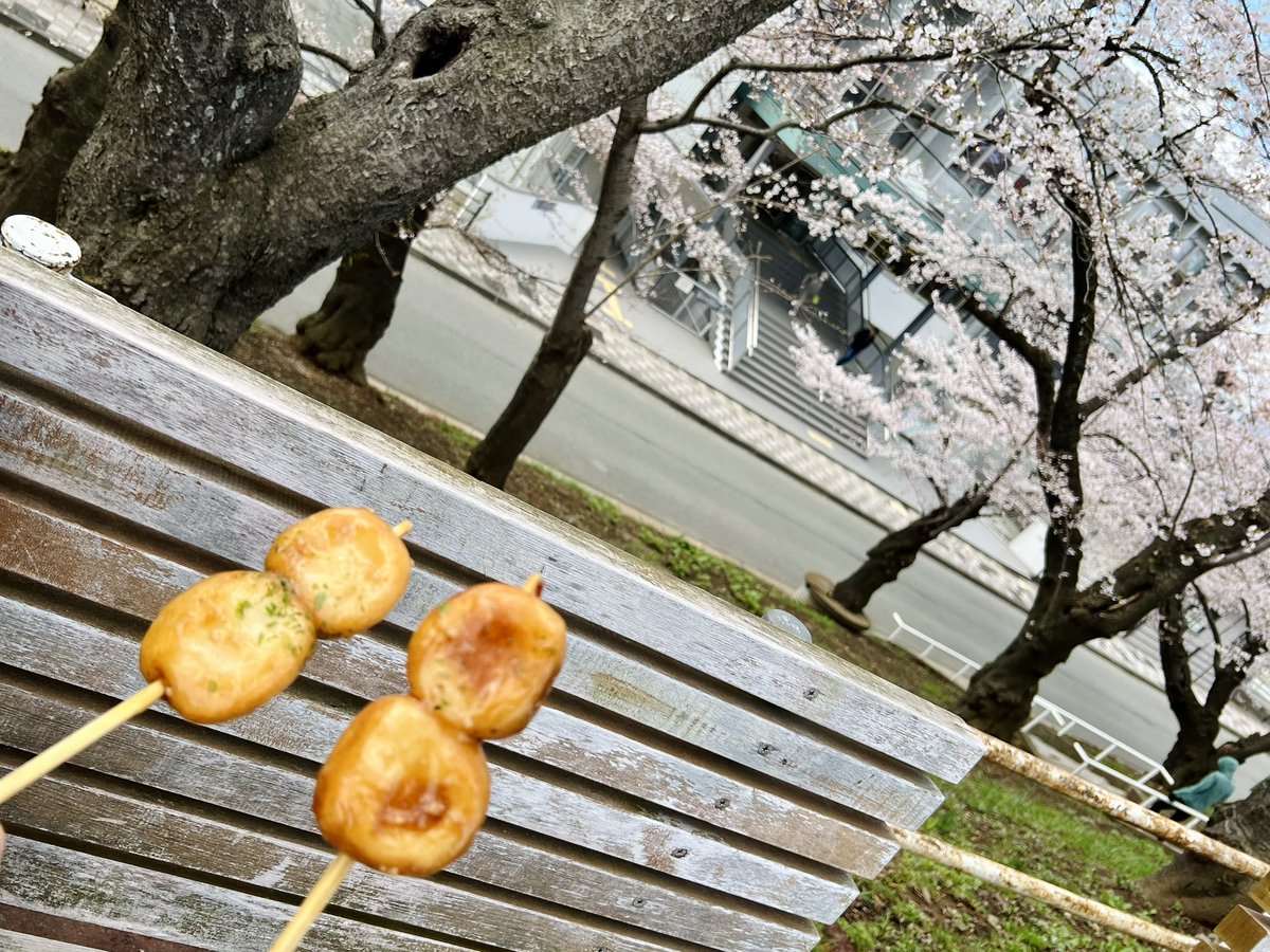 yuuki（ゆうき） tweet media