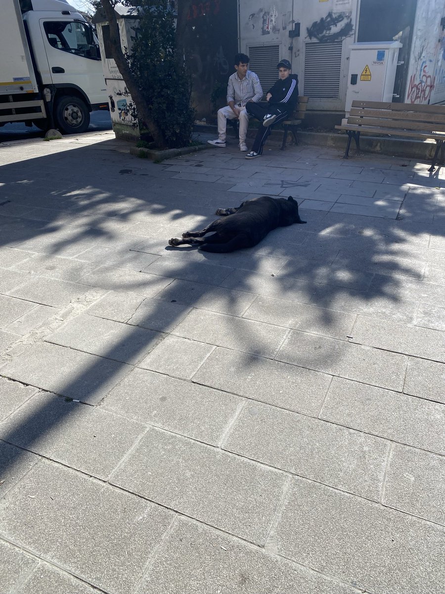 seymaexe's tweet photo. Ülke genelinde %70’i toplandı diye haber yapılmıştı geri kalanı bizim mahallede. @TC_icisleri @GOPBelediyesi @TC_istanbul https://t.co/KKFnLWkZ3V