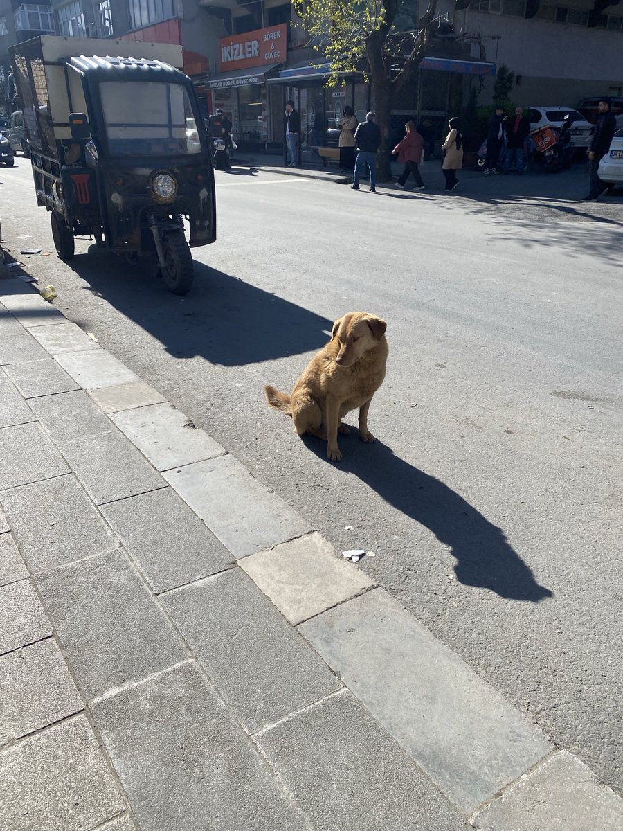 seymaexe's tweet photo. Ülke genelinde %70’i toplandı diye haber yapılmıştı geri kalanı bizim mahallede. @TC_icisleri @GOPBelediyesi @TC_istanbul https://t.co/KKFnLWkZ3V
