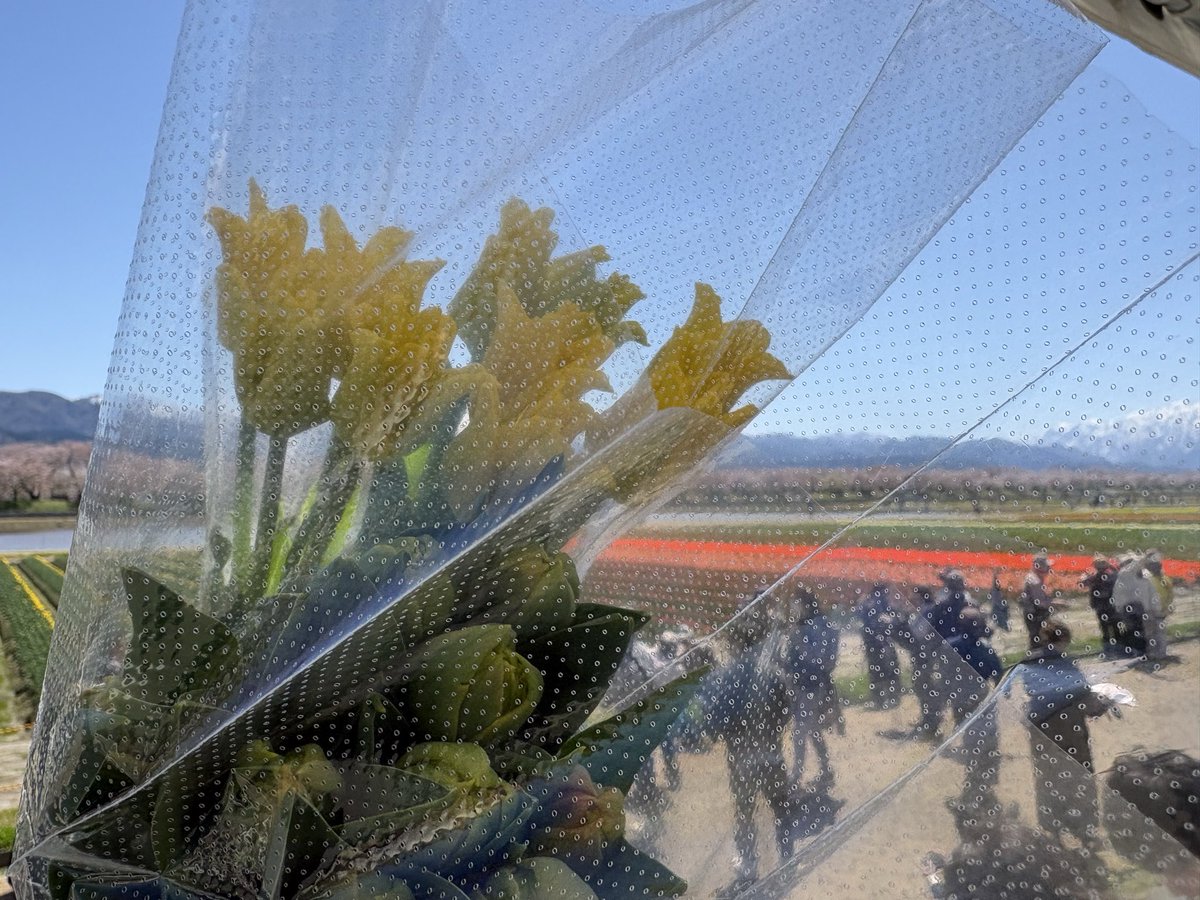 yon_bnkt ʚ♥ɞ tweet media