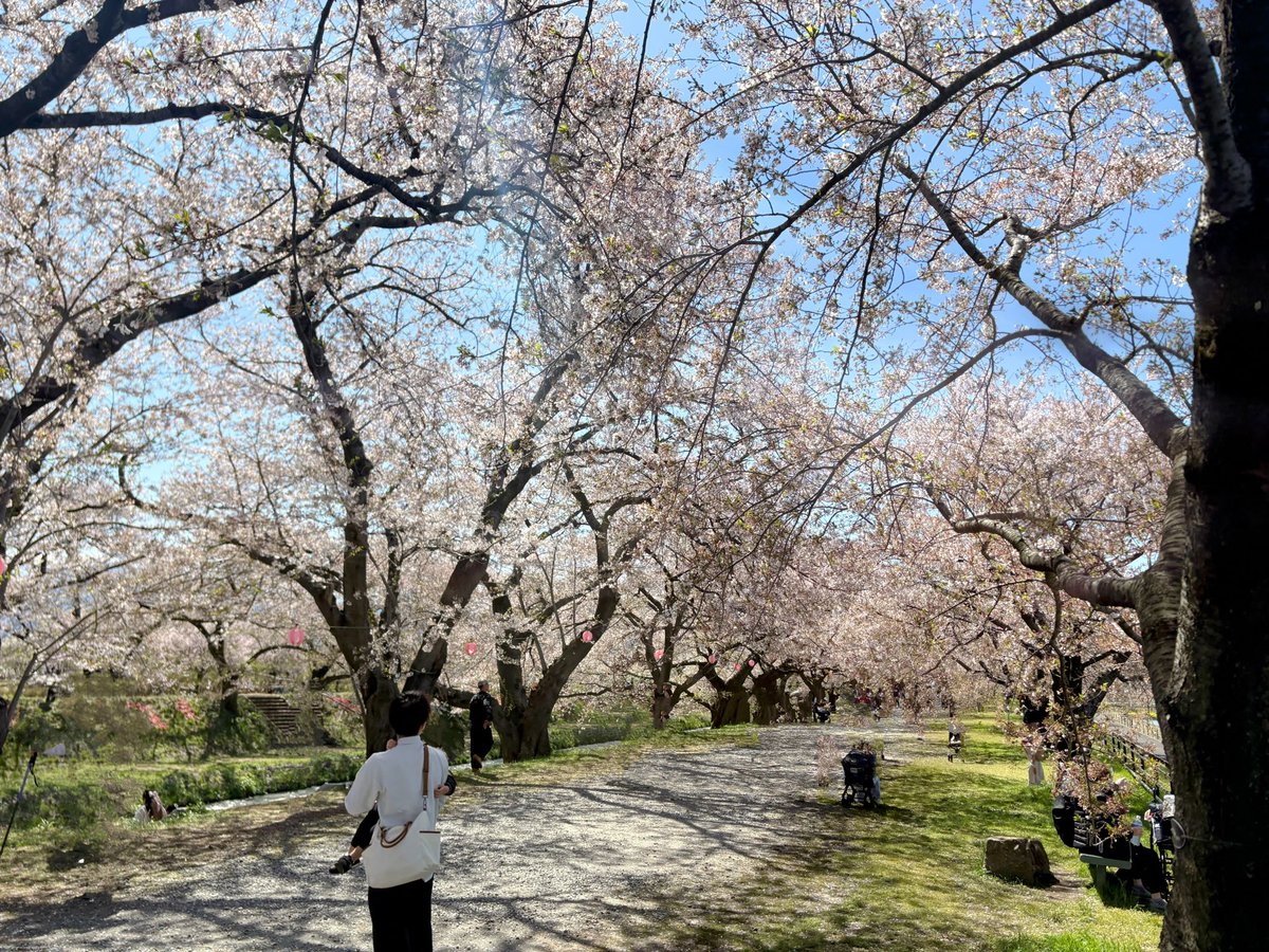 yon_bnkt ʚ♥ɞ tweet media