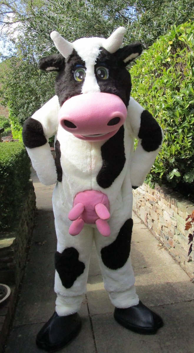 the-mascot-collector tweet media