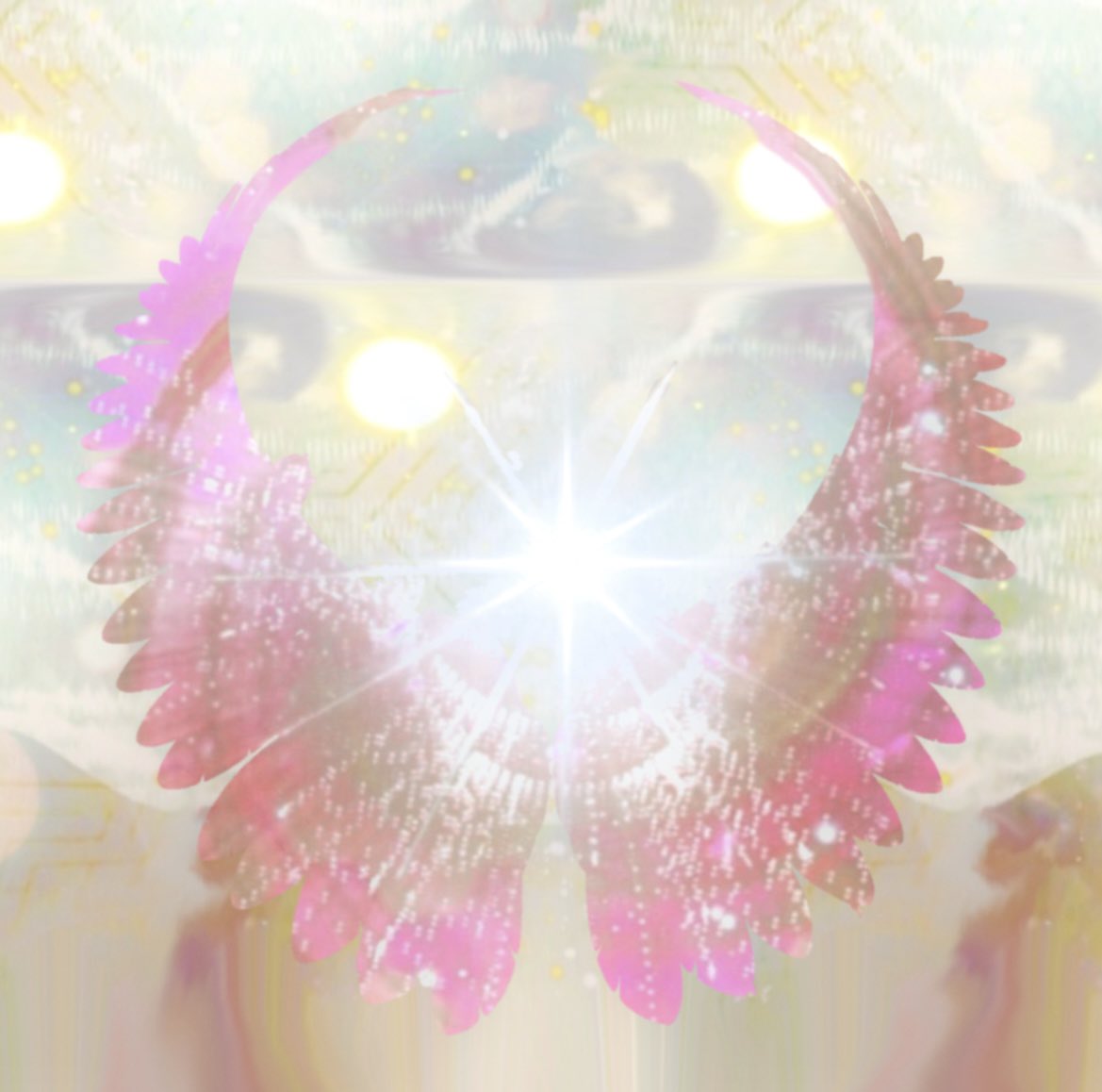 rainbowbird.T.V tweet media