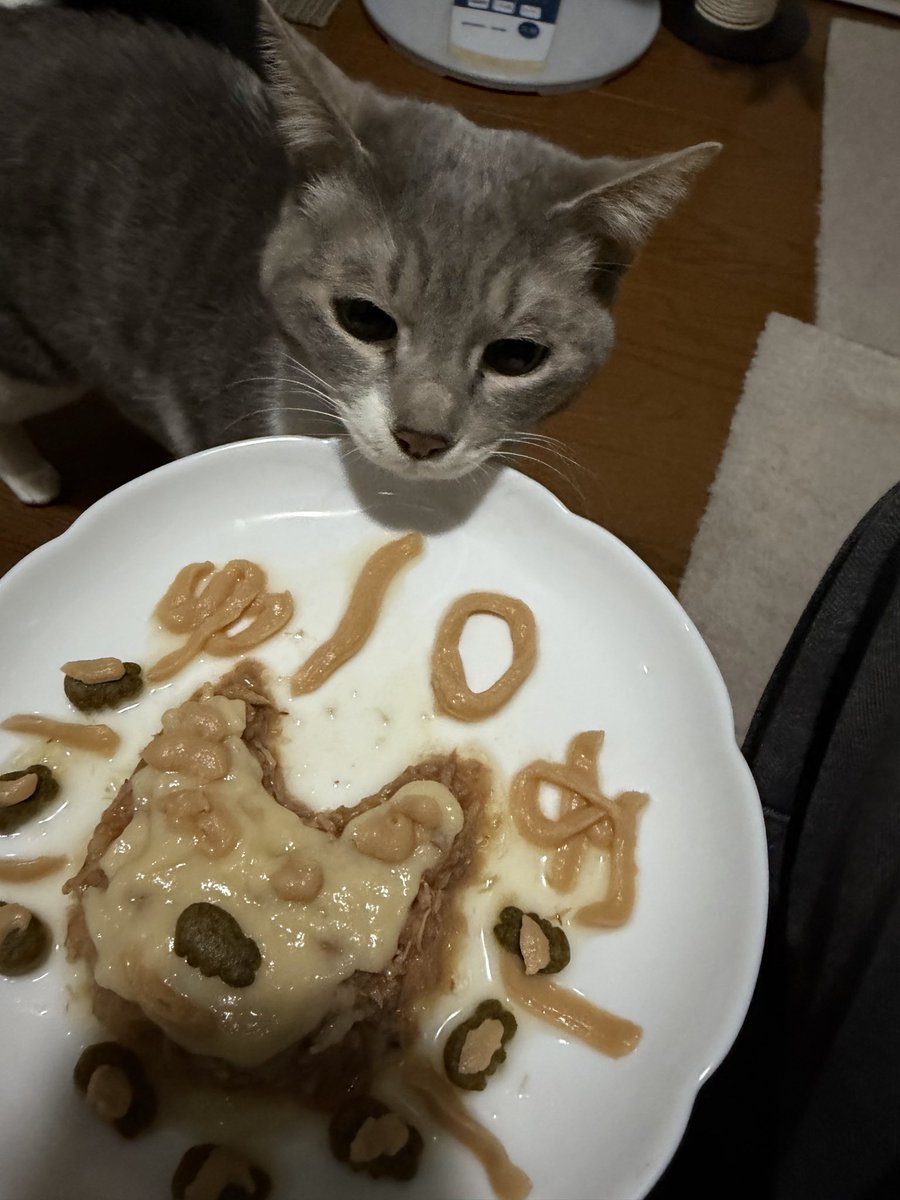 office_ymd's tweet photo. 10才ニャリ https://t.co/QvWVod4VEU