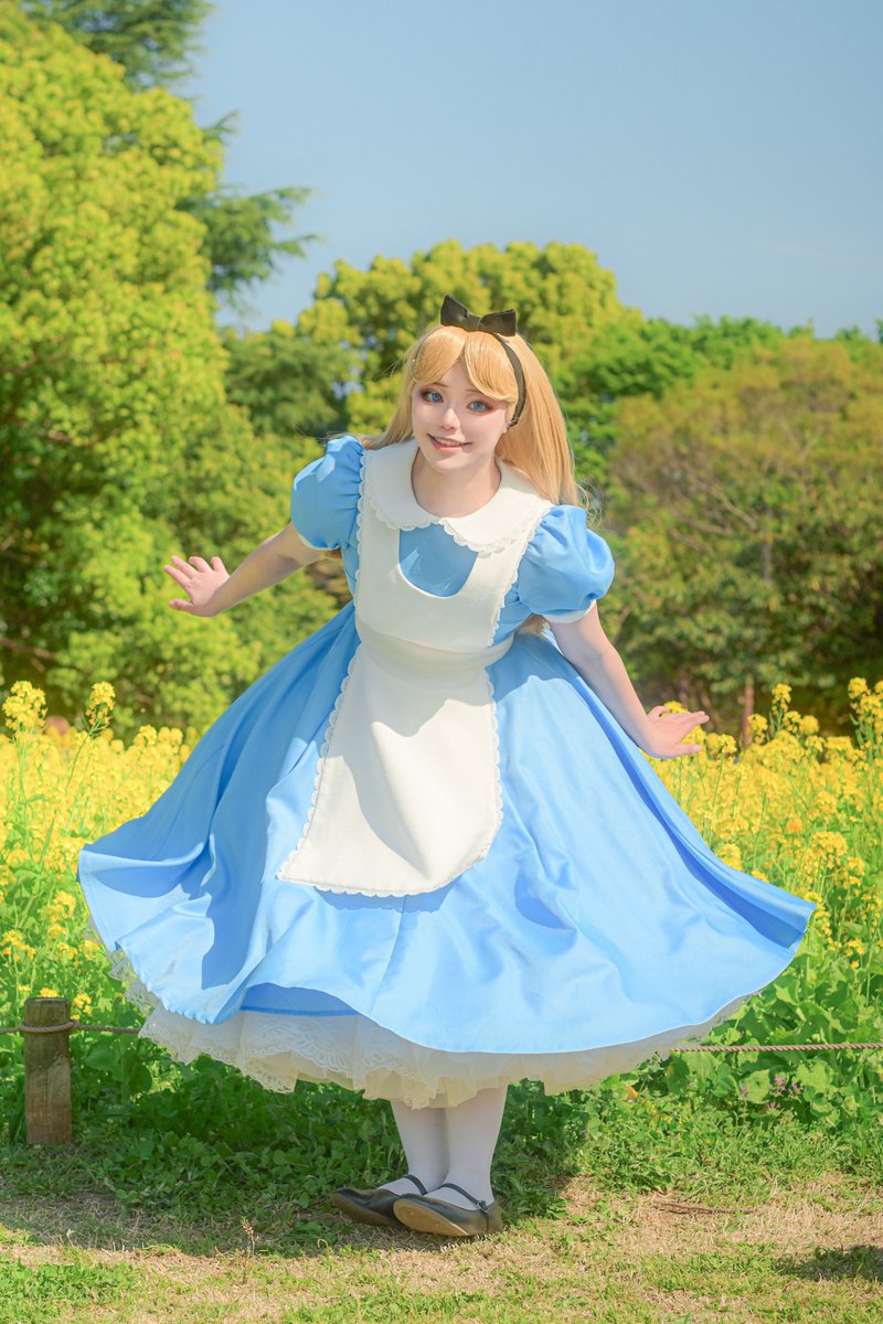おそくほう！アリスで春を堪能できて幸せだった🩵🌼🌷
photo:<a href="/imoti2n/">ごへ</a> ⚠︎︎仮装/cosplay