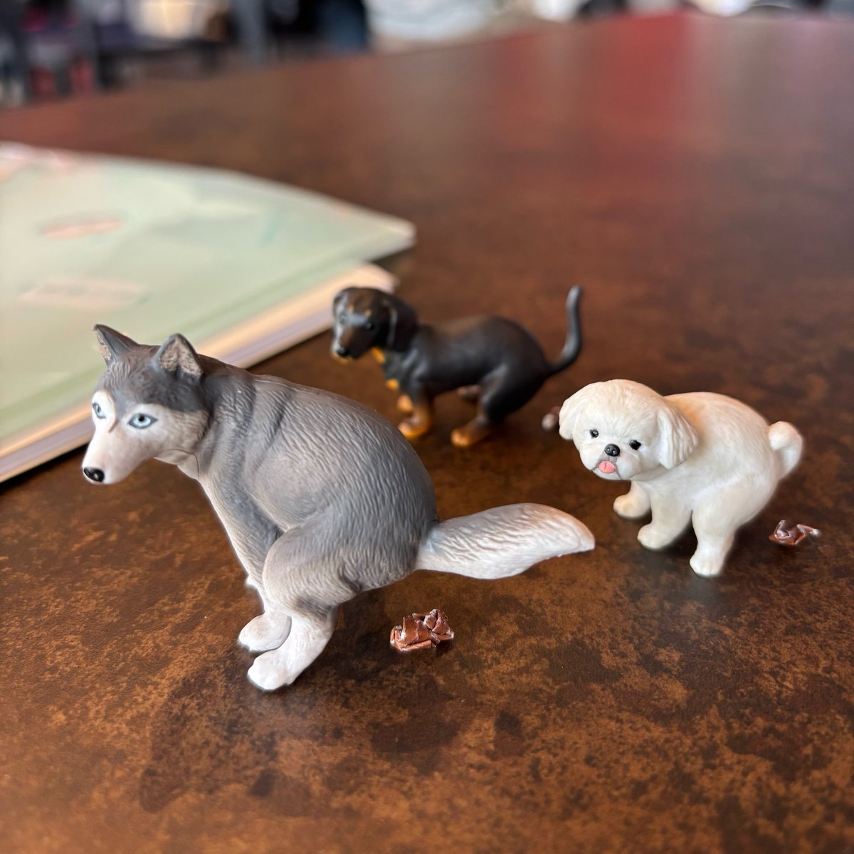 1週間の内4日間ライブという変態週間の最終日、紙袋を会場に忘れるという失態を犯したけど貴重品入ってなかったのでオールオッケー
ふんばり犬が入ってたので戻ってきて欲しい(ライブの感想は？)