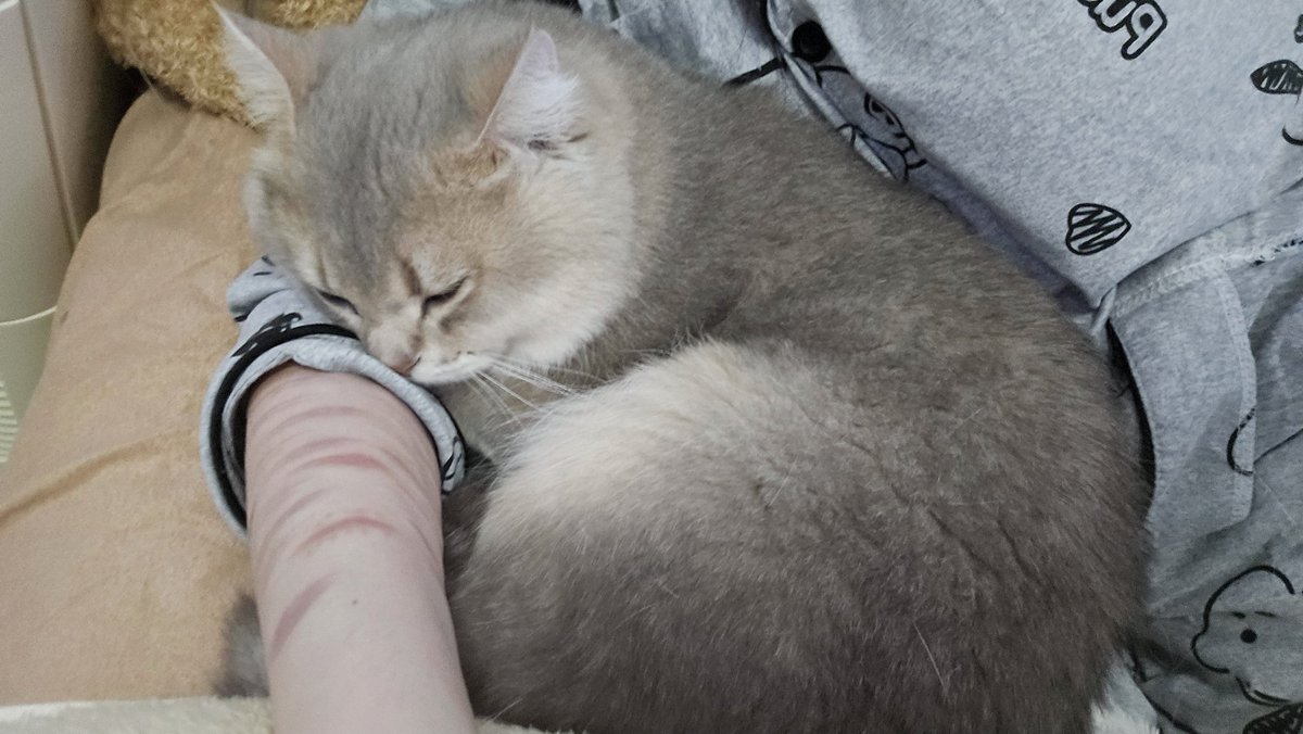 遺灰3.0 tweet media