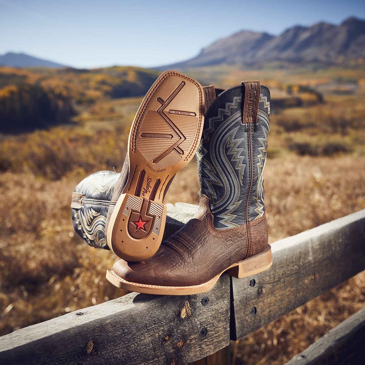 I bought a vampire motorcycle tweet media