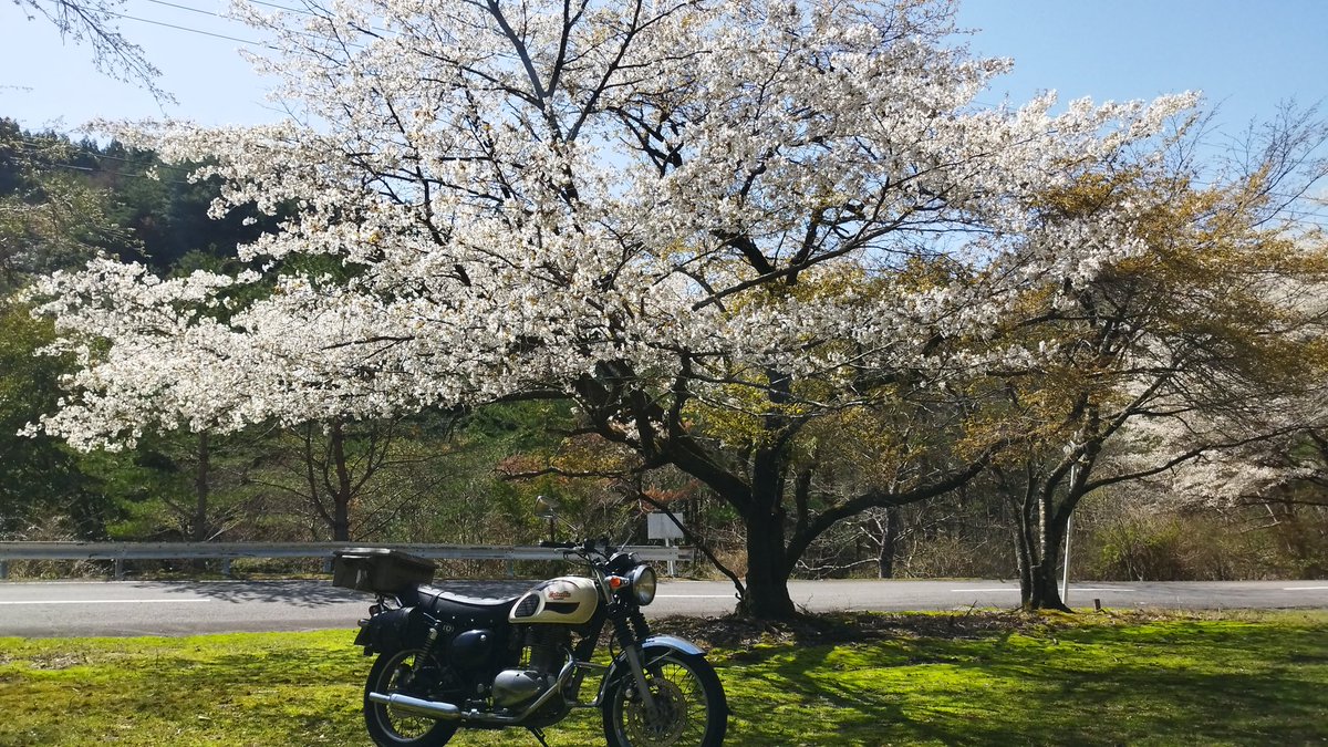 Halcyon0907's tweet photo. 鮎川千本桜
#エストレア https://t.co/OVf3zdc00Z