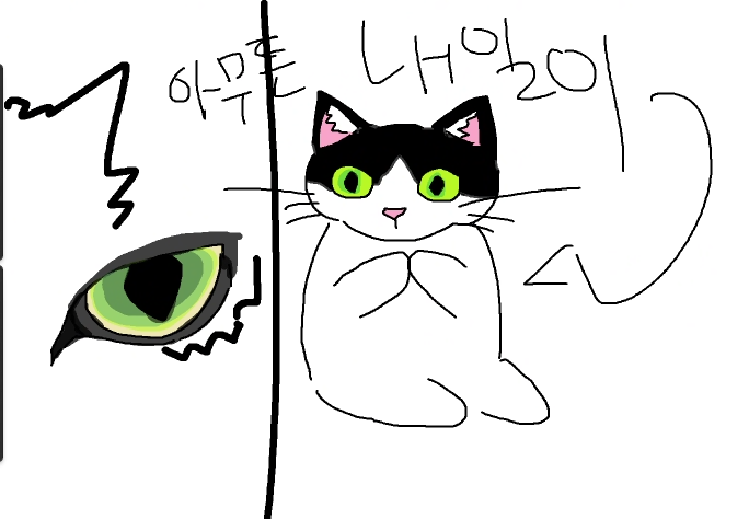 초코빵 tweet media