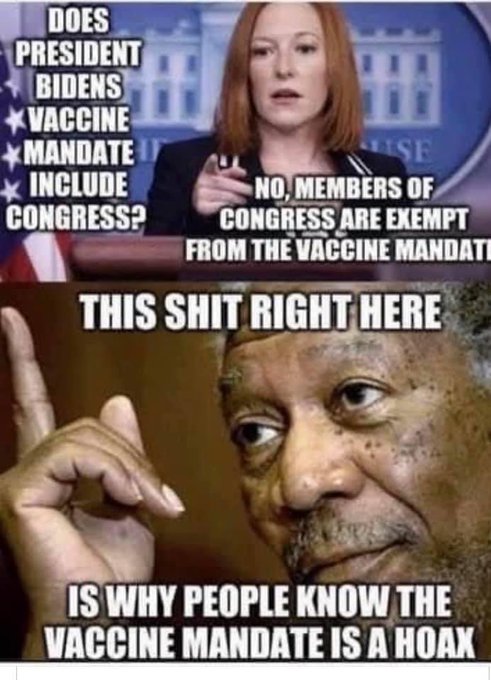 broman2model1898 tweet media