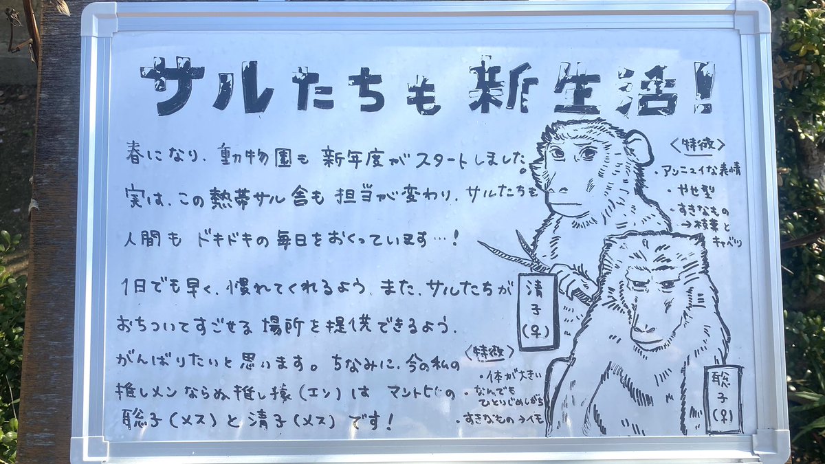 周南市徳山動物園(公式) tweet media