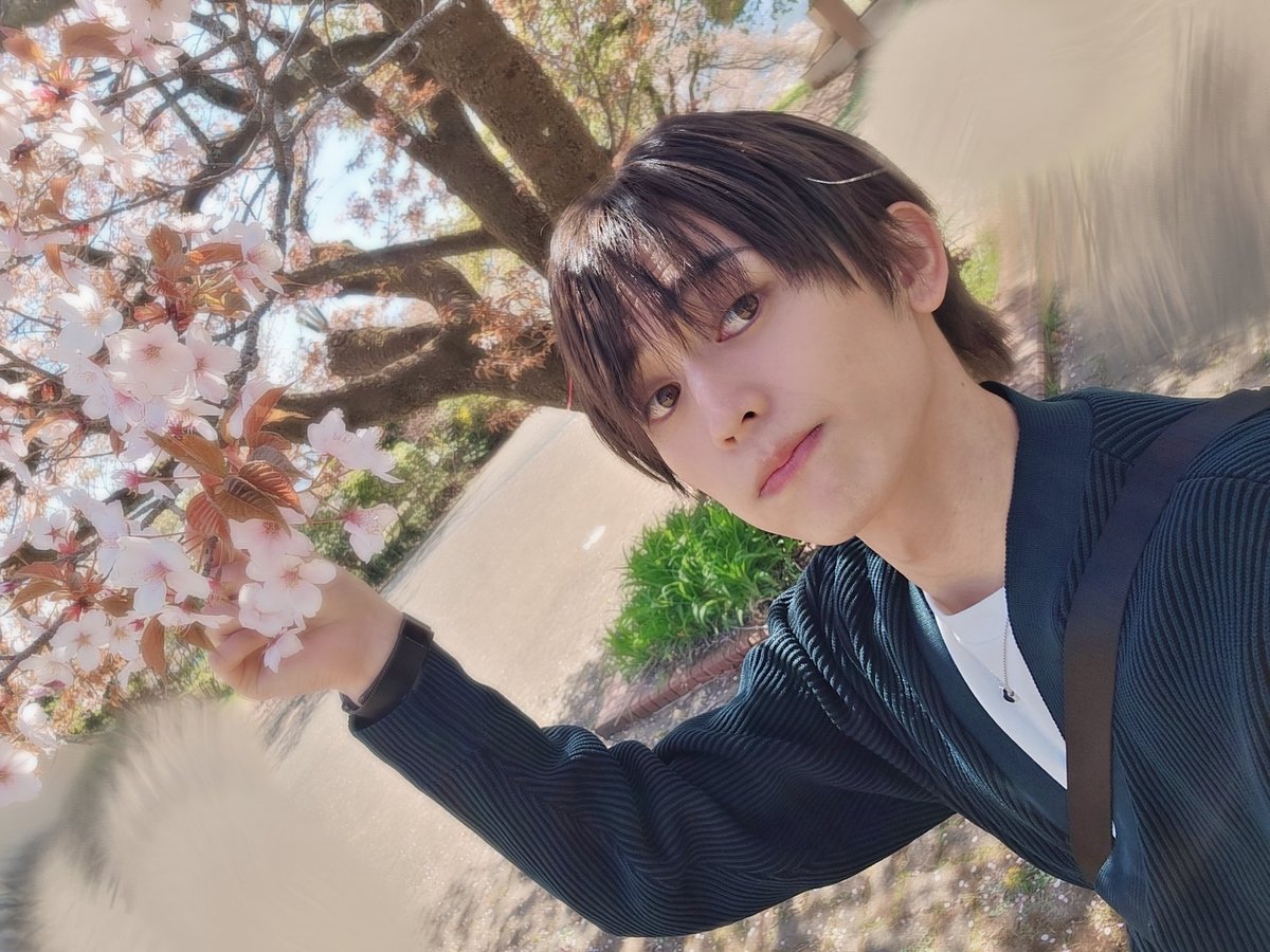 内藤 将大 tweet media