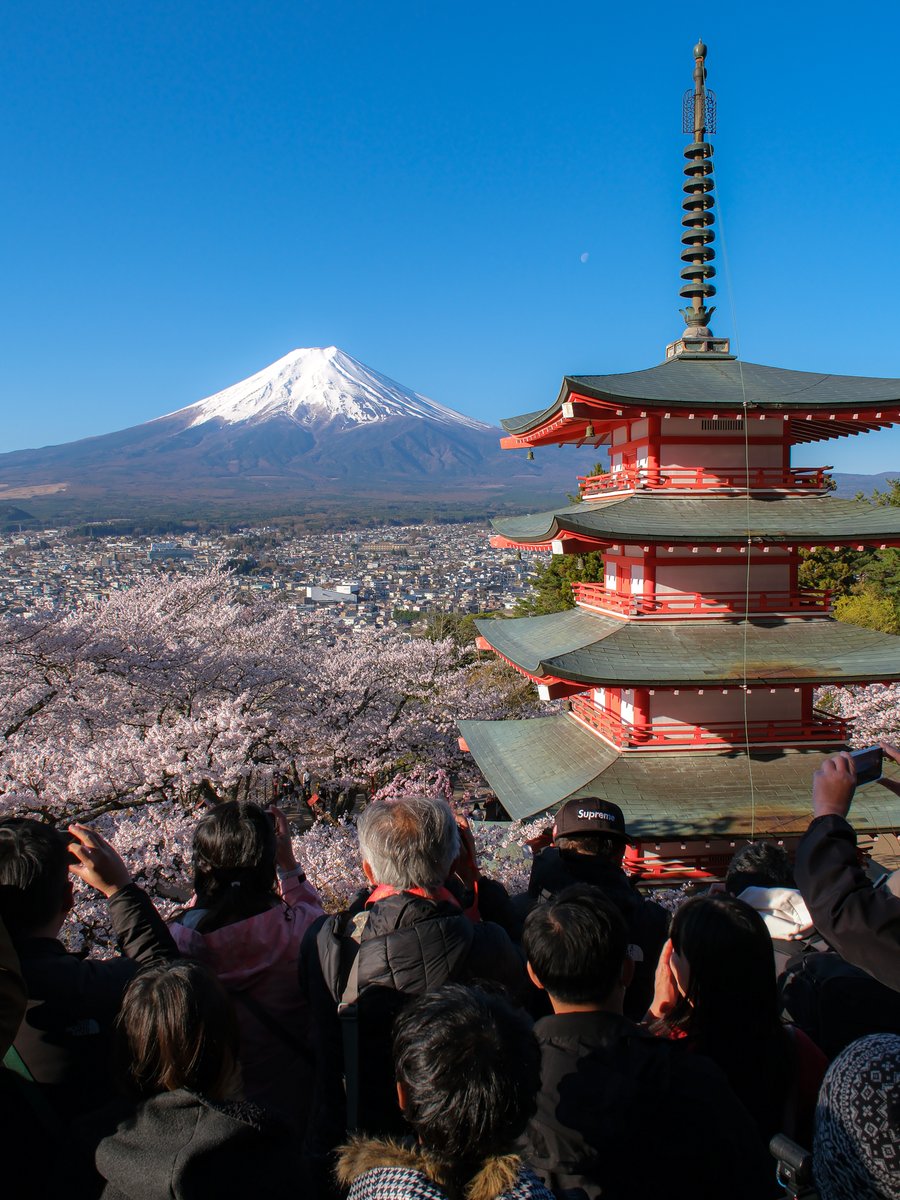 output_log's tweet photo. とてもよかった🌸 https://t.co/w5gLSUfxEq
