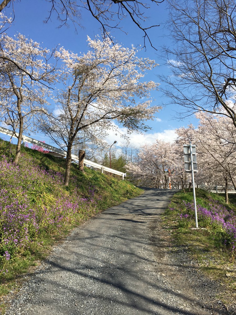 すみれ＠秩父三部作 tweet media