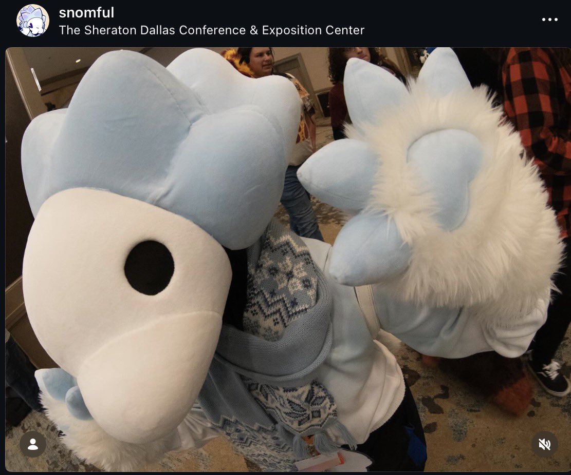 KikiTemi 🌴🏳️‍⚧️🍌Pincurchin Prick🧡 tweet media