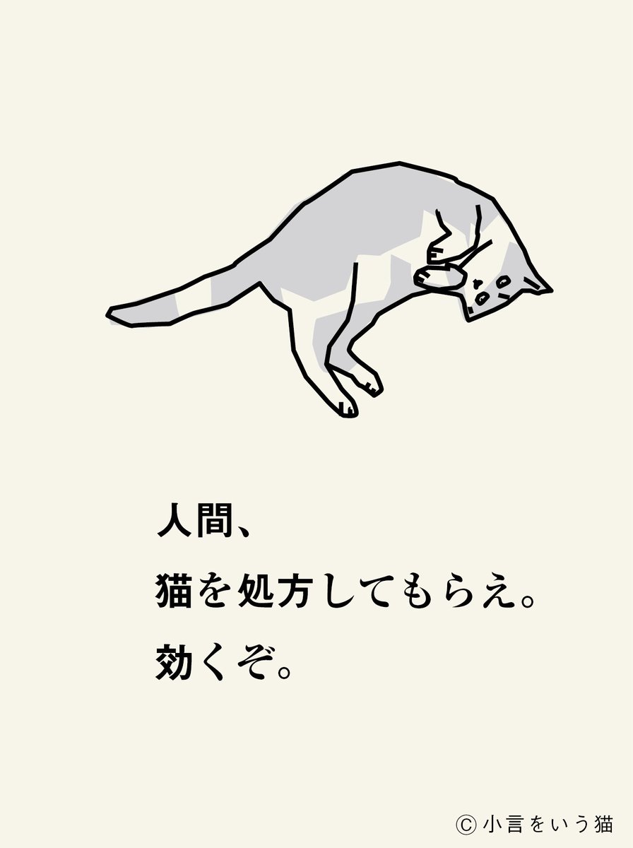 小言をいう猫 tweet media