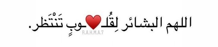 طلال الكثيري tweet media