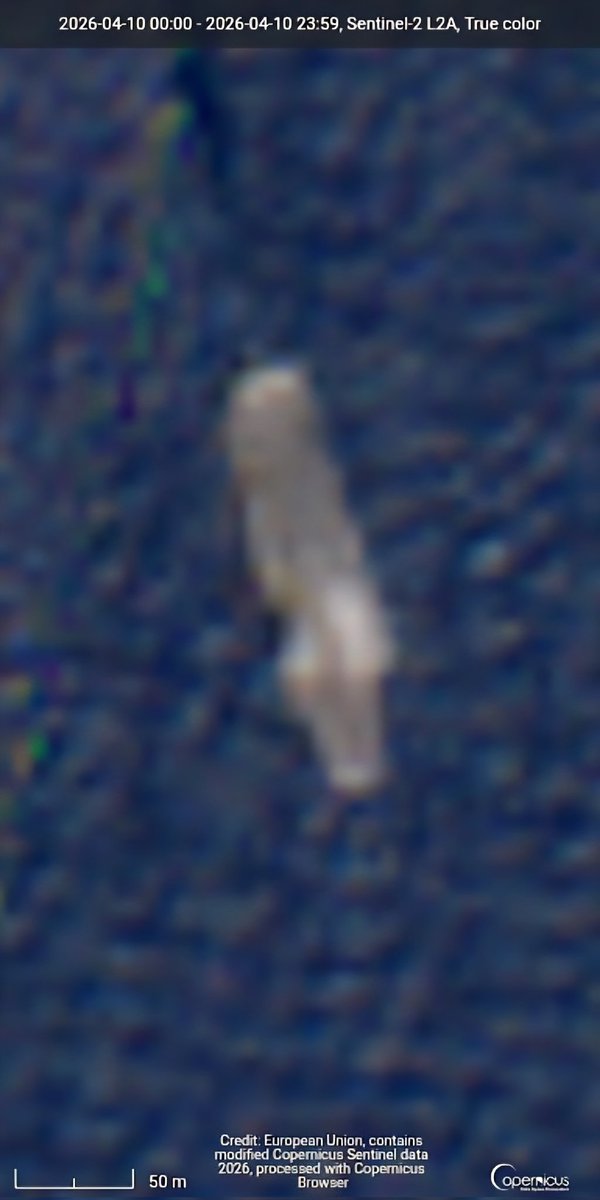 Tom Bike tweet media