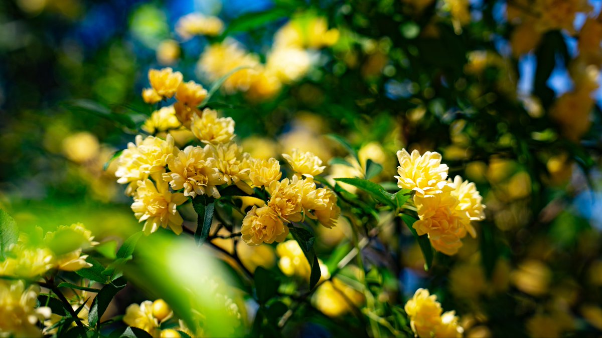 Alloy🐍🍀 tweet media