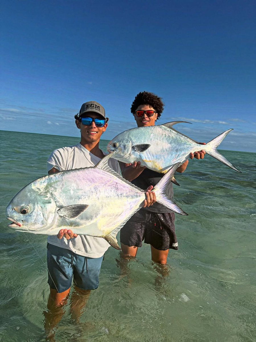 Fishing Niche tweet media