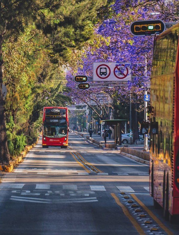 Metrobús in Mexico 🇲🇽