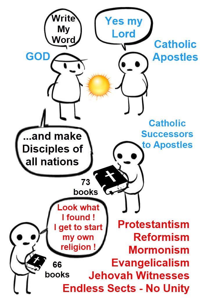 Marcado Razon (Biologist) tweet media