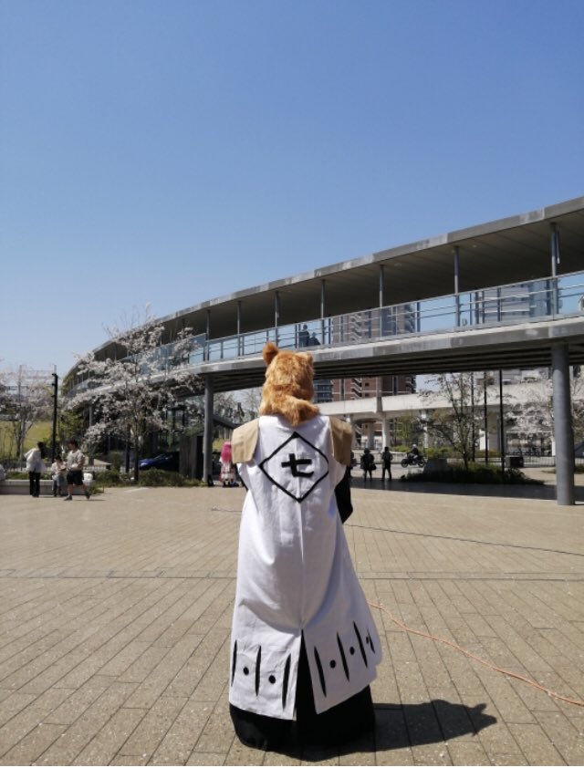 きっど@漏電中🔋 tweet media