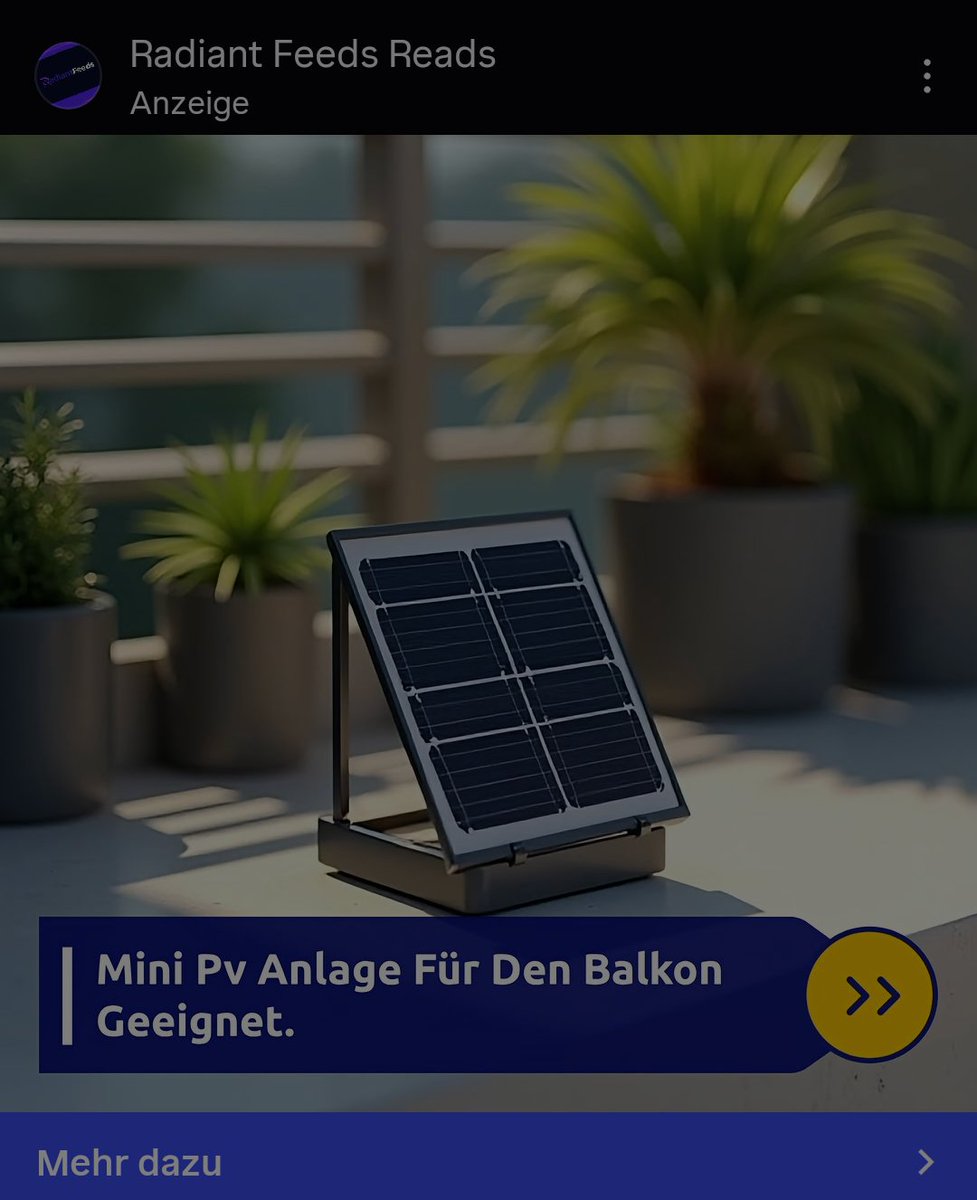 Der Kater Jimmy 😸 tweet media