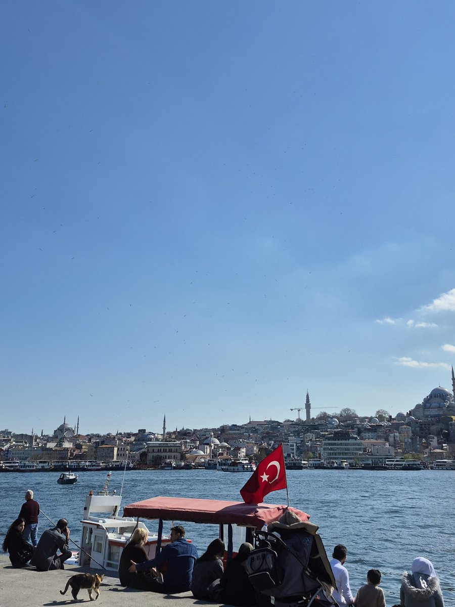 BERCESTE tweet media