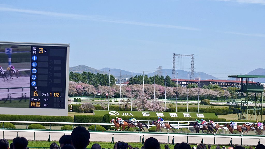 muco0_0's tweet photo. 競馬観戦🏇
#楽しみBomb
#2026年はじめて物語 https://t.co/0rvDglvYHj