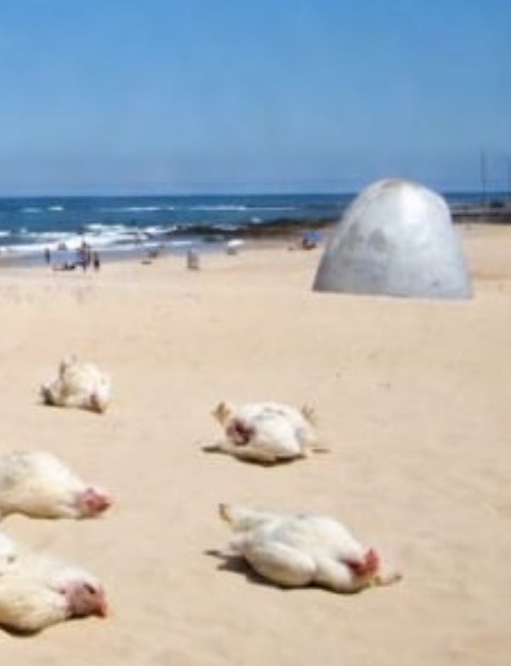 unomasdelmonton tweet media