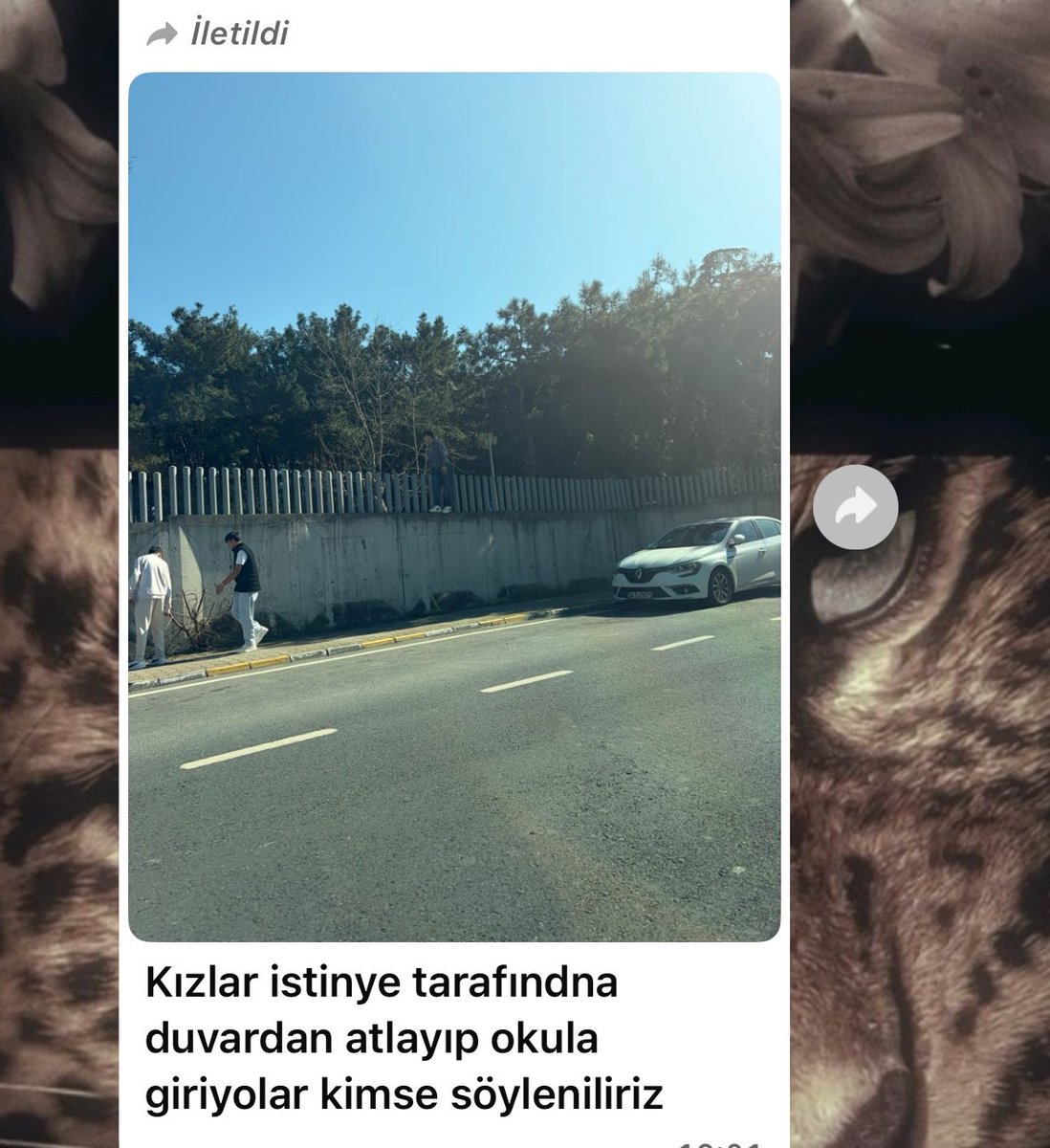 curlpressure's tweet photo. ya dalga mı geçiyosunuz https://t.co/hJ0n63MkLN