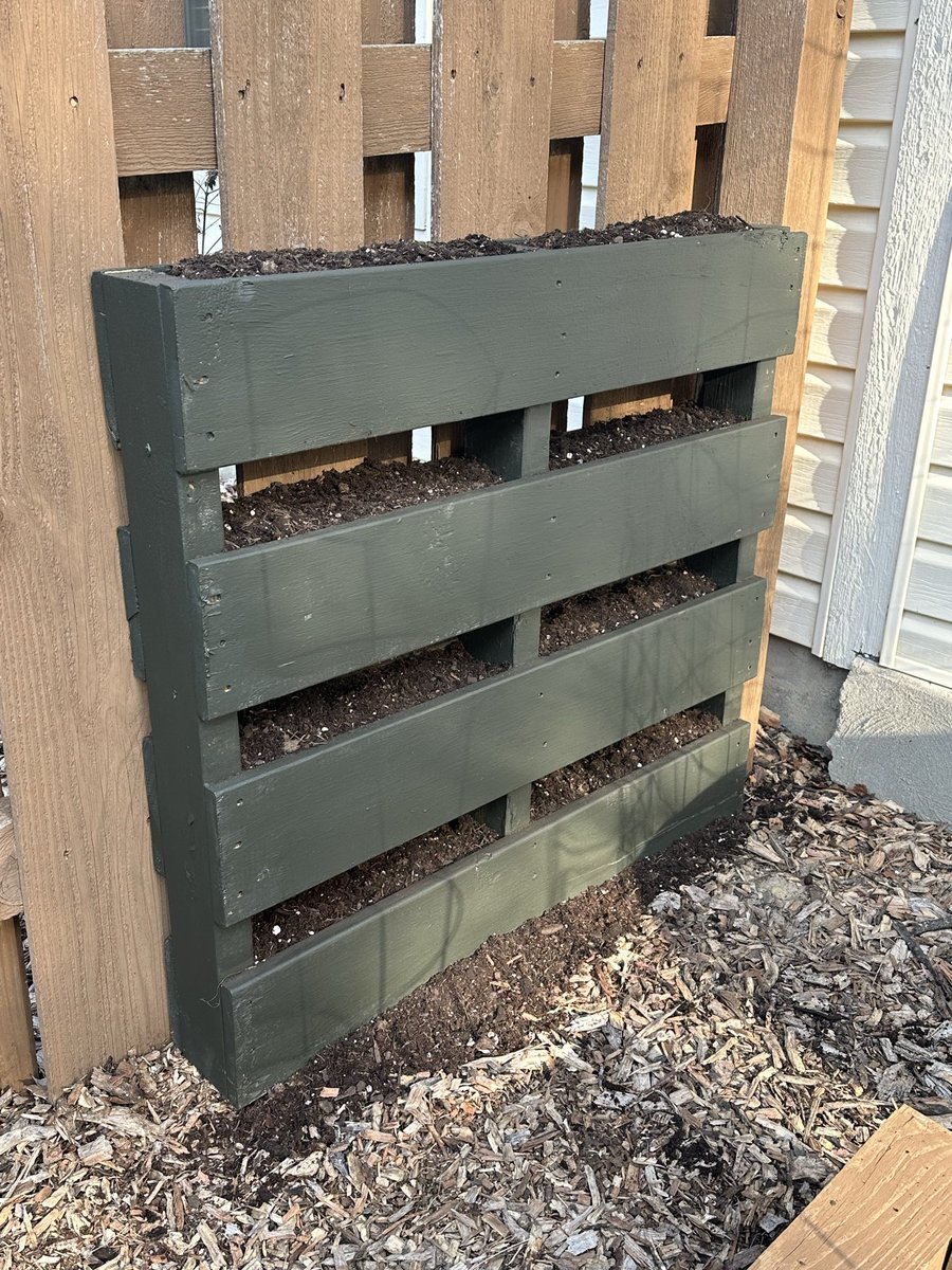 William Samples 🇺🇸 tweet media