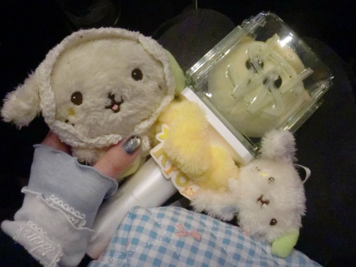 ⊹₊⟡⋆ tweet media