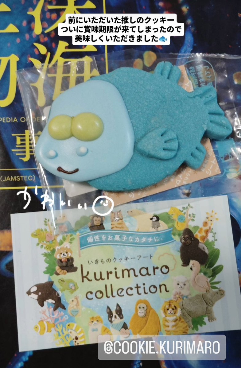 MEG🦑🐙🌸 tweet media