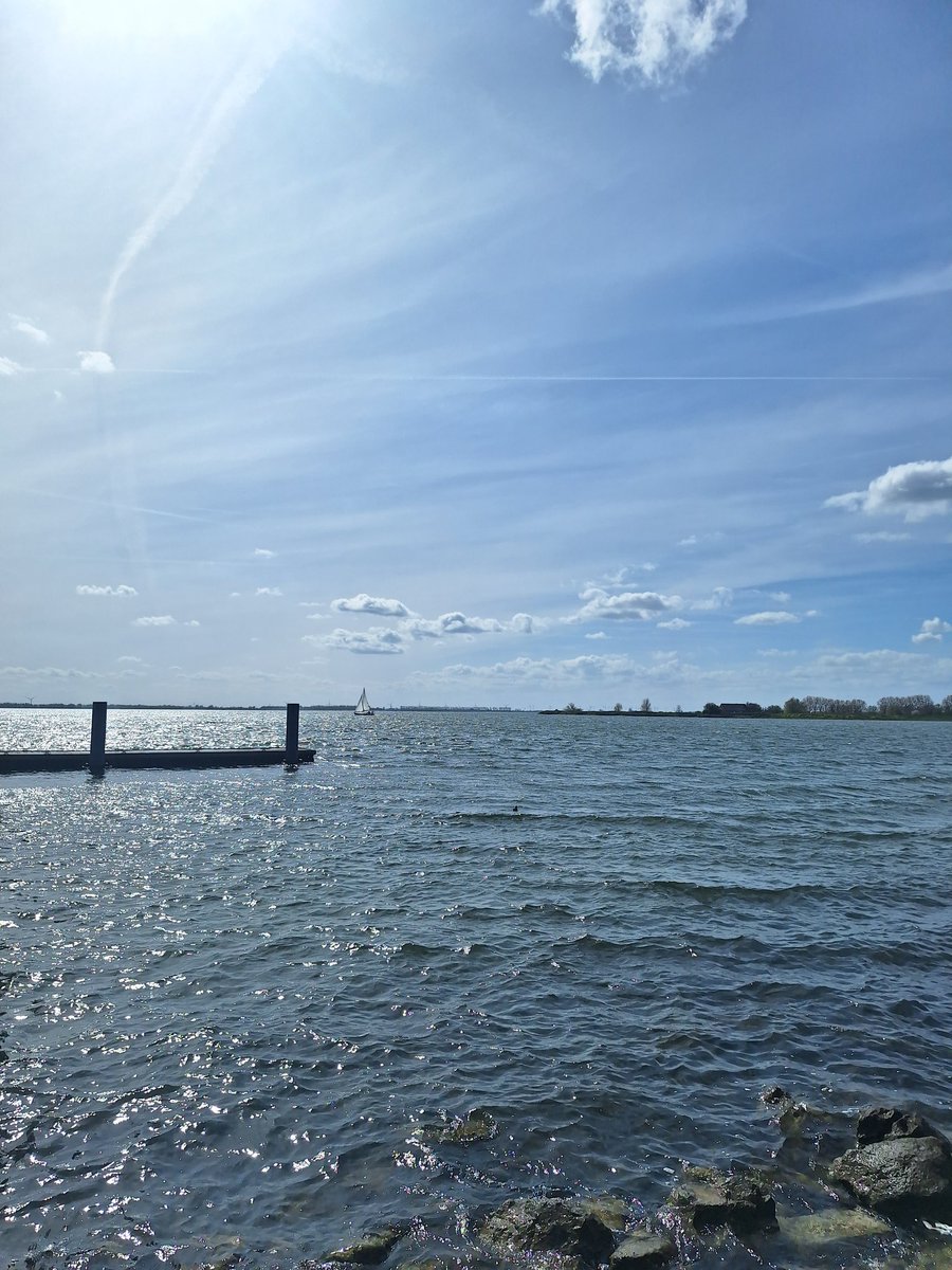 Kopjes en zon. #zwemmen #openwater