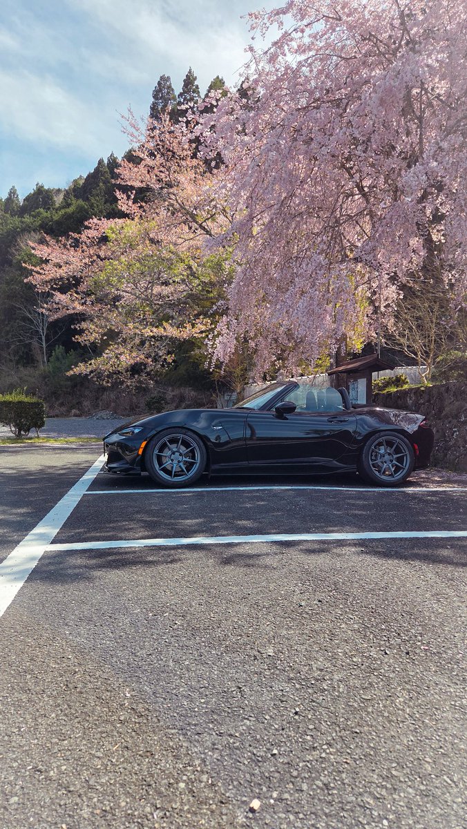 SLASH_XS1's tweet photo. 良き https://t.co/dQn8r8K8ZY