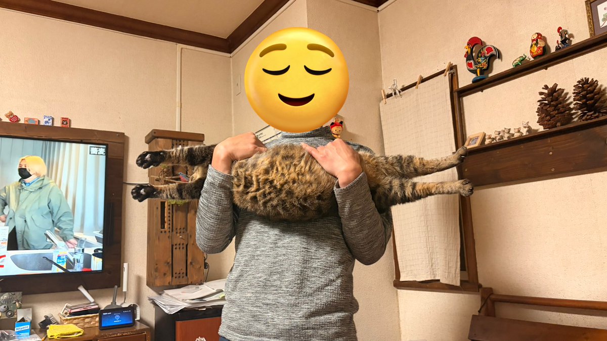 新作