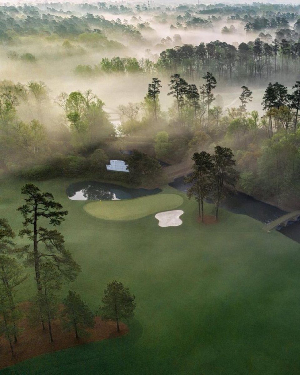 Tour Pro 🏌️♂️ tweet media