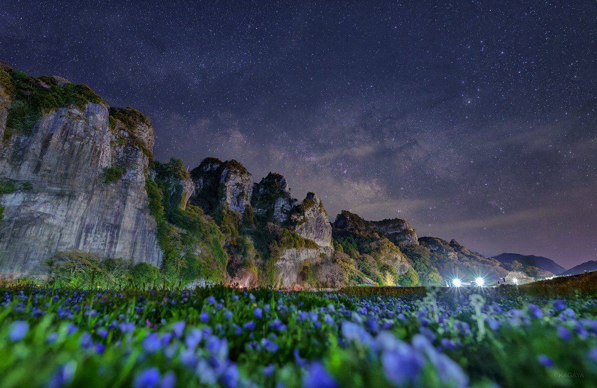 青い花と天の川。
静かな春の夜、花畑の向こうに広がる悠久の光景。
（以前、大分県にて撮影）
今日もお疲れさまでした。