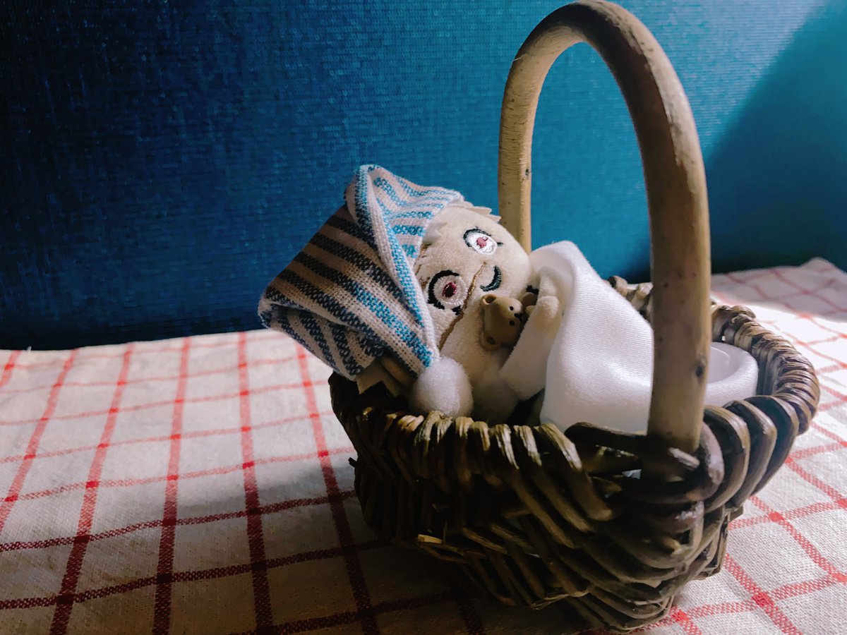 まめのや🫘 tweet media