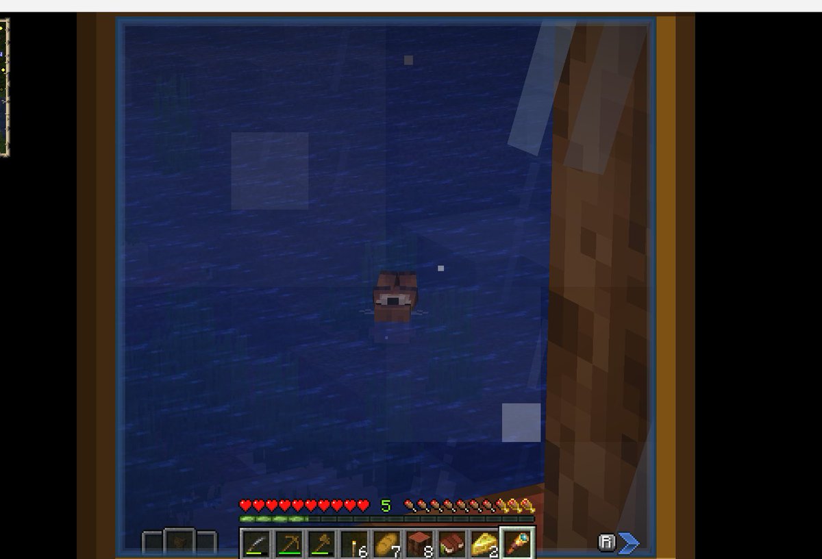 fawn 𖹭 tweet media