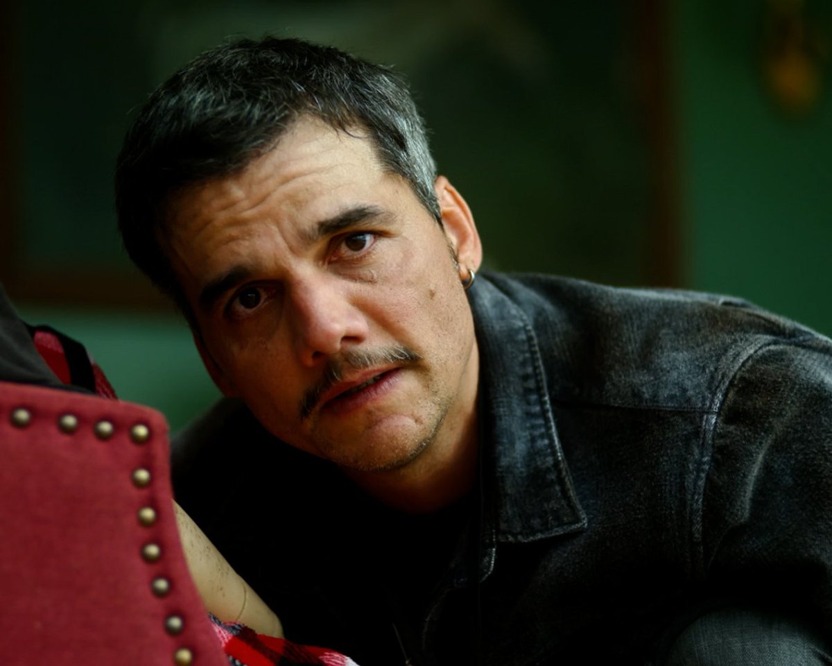 MUBI Canada tweet media