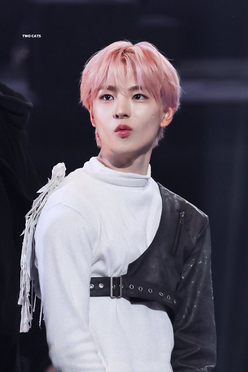 𝑻𝑾𝑶 𝑪𝑨𝑻𝑺 tweet media