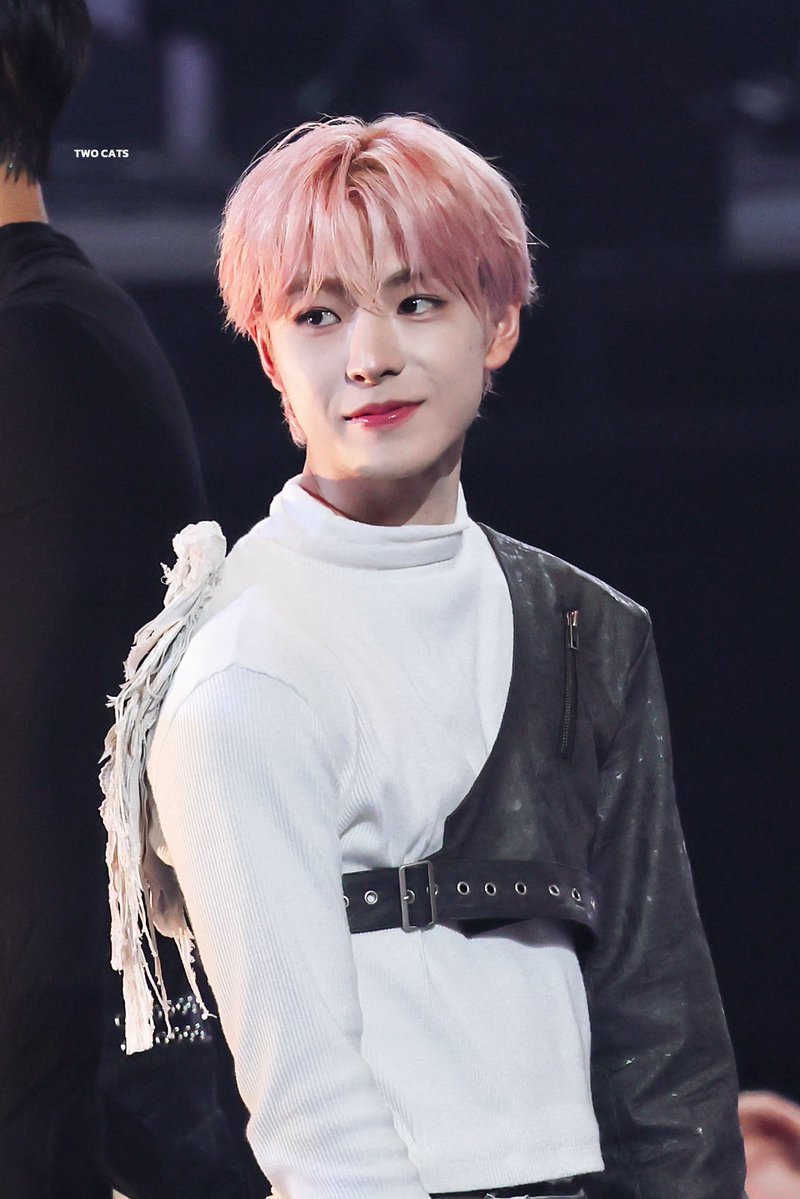 𝑻𝑾𝑶 𝑪𝑨𝑻𝑺 tweet media